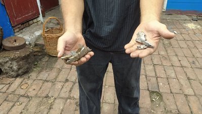 "Ремонтувати будуть люди та сільська рада" — яку допомогу обіцяють мешканцям обстріляного села Біловоди на Сумщині "Ремонтувати будуть люди та сільська рада" — яку допомогу обіцяють мешканцям обстріляного села Біловоди на Сумщині