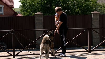 Відзнаку "Янгол Перемоги" посмертно вручили волонтеру з Рівненщини Сергію Ільчуку Відзнаку "Янгол Перемоги" посмертно вручили волонтеру з Рівненщини Сергію Ільчуку