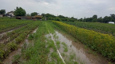 Через негоду на Херсонщині підтопило село