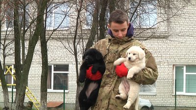 У Житомирі всі охочі можуть погодувати павичей і коней на мультифермі. СУСПІЛЬНЕ | ВІДЕОНОВИНИ