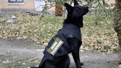 Пошукові собаки прикордонників з Одещини отримали від волонтерів бронежилети