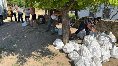 147 день війни: хроніка подій в Херсонській області 147 день війни: хроніка подій в Херсонській області