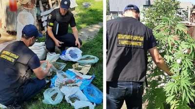 На Черкащині чоловік вирощував коноплі. Вилучили дев'ять мішків