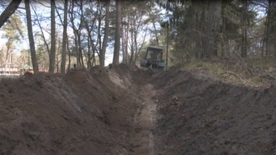 В’їзд до волинських лісів заборонили у зв’язку з карантином В’їзд до волинських лісів заборонили у зв’язку з карантином