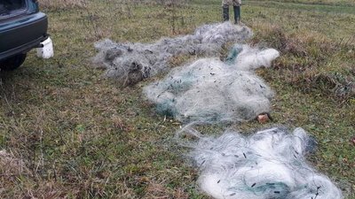 На Рівненщині знайшли браконьєрські сітки з уловом під час рейду На Рівненщині знайшли браконьєрські сітки з уловом під час рейду