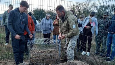 Борсучиха, яку врятували на Одещині, втекла від екологів Борсучиха, яку врятували на Одещині, втекла від екологів