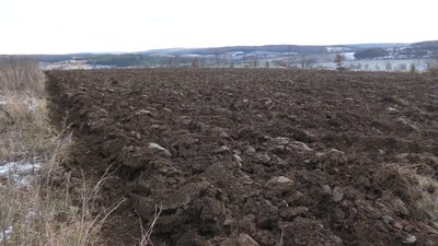 В Івано-Франківській громаді планують збільшити посівні площі В Івано-Франківській громаді планують збільшити посівні площі