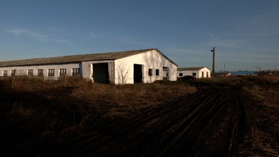 Ферма на Городнянщині Ферма на Городнянщині