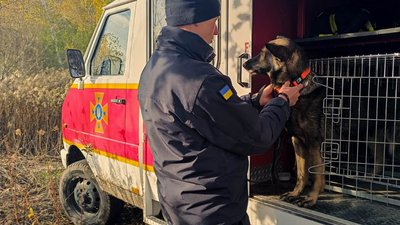 пошуки пошуки