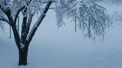 Температурні "гойдалки": яку погоду прогнозують на Рівненщині до вихідних Температурні "гойдалки": яку погоду прогнозують на Рівненщині до вихідних