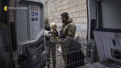 Як волонтери рятують тварин на звільненій Київщині