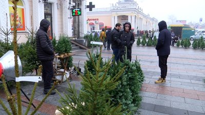 У Житомирі почали працювати ялинкові базари У Житомирі почали працювати ялинкові базари