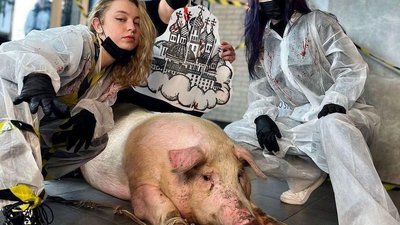 В Одесі громадські діячі облили тату-салон фарбою. Що відомо