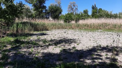 Проблема з технічною водою в Кушугумській громаді: що каже влада Проблема з технічною водою в Кушугумській громаді: що каже влада