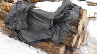 На Львівщині незаконно вирубали дерева на території заповідника На Львівщині незаконно вирубали дерева на території заповідника