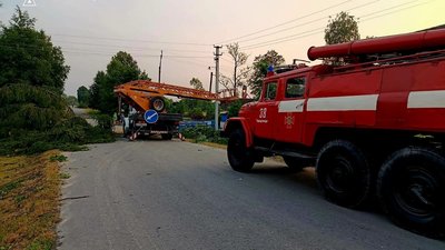 ДСНС, електроенергія, рятувальники, дерева, дороги