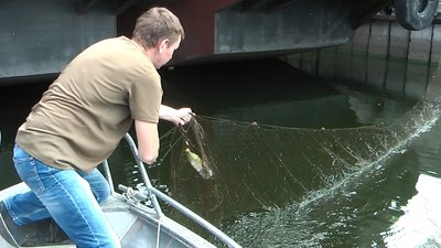 У Запорізькій акваторії рибінспектори вилучили шість браконьєрських сіток
