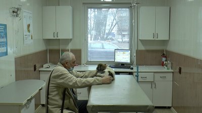 «Звертатися за допомогою почали із березня»: полтавський ветлікар про укуси тварин кліщами