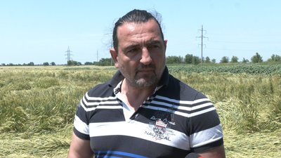 У Запорізькій області через погодні умови може знизитися врожайність зернових У Запорізькій області через погодні умови може знизитися врожайність зернових