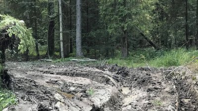 марафоннннн екологія марафоннннн екологія