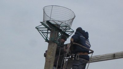 На Херсонщині рятувальники облаштували гнізда для лелек На Херсонщині рятувальники облаштували гнізда для лелек