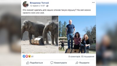 Слонам Миколаївського зоопарку подарували іграшку Слонам Миколаївського зоопарку подарували іграшку