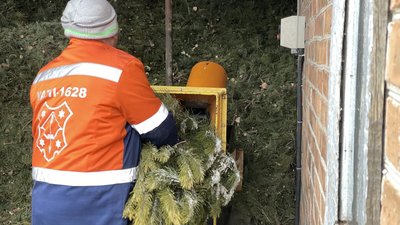 Утилізація новорічних ялинок: як це роблять у Полтаві Утилізація новорічних ялинок: як це роблять у Полтаві