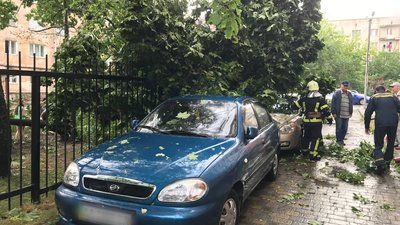 У Тернополі під час негоди повалило дерева та залило вулиці У Тернополі під час негоди повалило дерева та залило вулиці