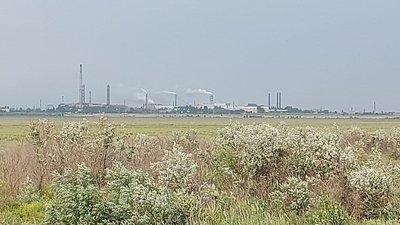 Онкологія на Херсонщині: жителі Преображенки вважають, причина їх хвороб - викиди заводу