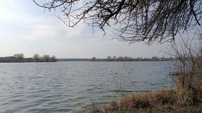 Ставок на Хмельниччині