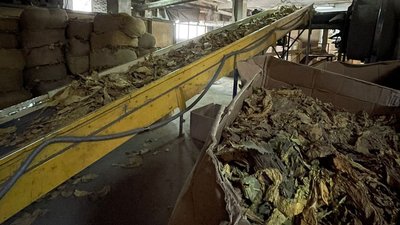 На Львівщині проводять обшуки на території тютюнової фабрики