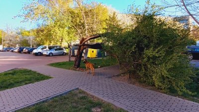 Негода у Луцьку, вітер у Луцьку