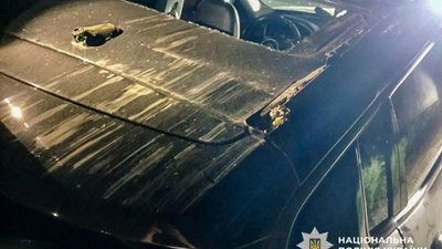 У Полтаві дерево впало на авто: травмувалися жінка та дитина У Полтаві дерево впало на авто: травмувалися жінка та дитина