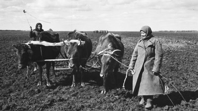 "Не було що їсти, голодні ми були!" — очевидиця голоду на Прикарпатті у 1946-1947 роках "Не було що їсти, голодні ми були!" — очевидиця голоду на Прикарпатті у 1946-1947 роках