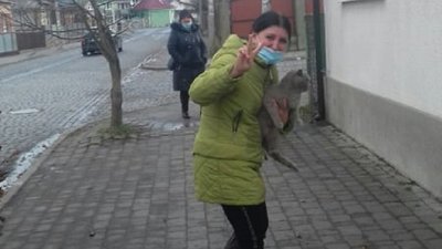 Дві доби на даху провів кіт Дві доби на даху провів кіт