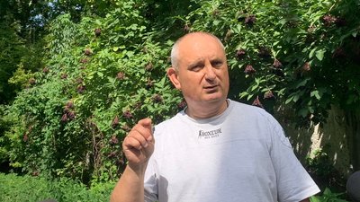 У Шодуарівському парку Житомира вандали пошкодили п'ять берез У Шодуарівському парку Житомира вандали пошкодили п'ять берез
