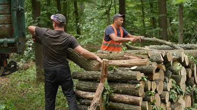 На Кіровоградщині заготовляють дрова на зиму. Які ціни та попит На Кіровоградщині заготовляють дрова на зиму. Які ціни та попит
