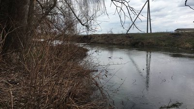 У селі на Тернопільщині повторно взяли заміри води, в яку потрапила рідина з аміаком