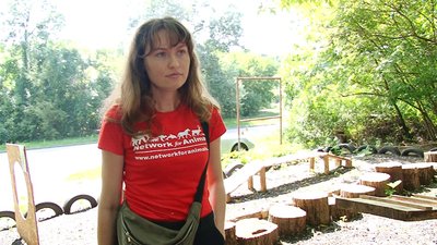 Полтавці можуть взяти в родину тварин, евакуйованих через війну Полтавці можуть взяти в родину тварин, евакуйованих через війну