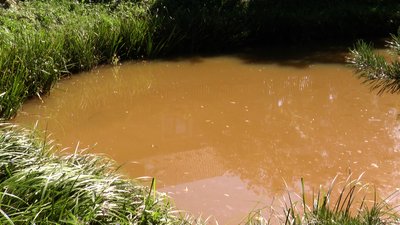 Забруднення землі в Королівці на Івано-Франківщині. Що кажуть місцеві жителі Забруднення землі в Королівці на Івано-Франківщині. Що кажуть місцеві жителі