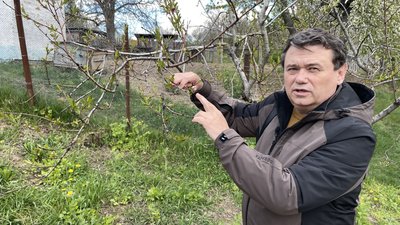 Юрія Сарафанов показує свій персик Юрія Сарафанов показує свій персик