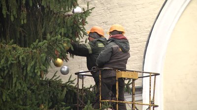 У Житомирі почали прикрашати головну новорічну ялинку У Житомирі почали прикрашати головну новорічну ялинку