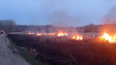 Згоріло понад чотири гектари трави. На Буковині за добу 16 разів підпалювали сухостій