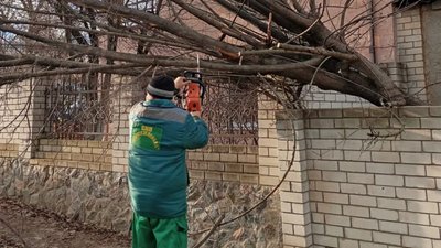 Комунальник усуває наслідки поривів вітру у Харкові, 13 грудня 2025 року