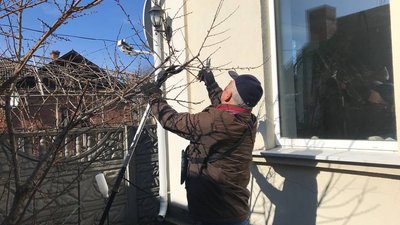 природа, екологія, обрізка, дерево, сад, плодові дерева, садівник природа, екологія, обрізка, дерево, сад, плодові дерева, садівник