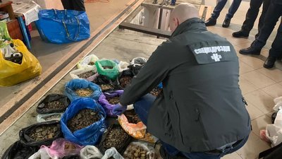 На Житомирщині повідомили про підозру співучаснику каналу збуту бурштину