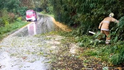 Рятувальник, дорога, Франківщина, негода