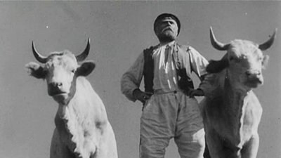 Кадр з фільму "Земля" 1930 року Кадр з фільму "Земля" 1930 року