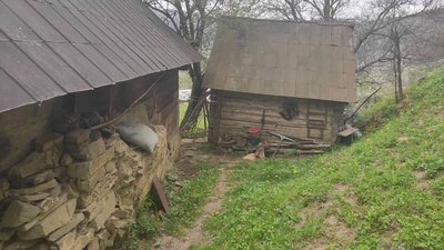 Одна серед людей: на Прикарпатті жінка помирає з голоду Одна серед людей: на Прикарпатті жінка помирає з голоду