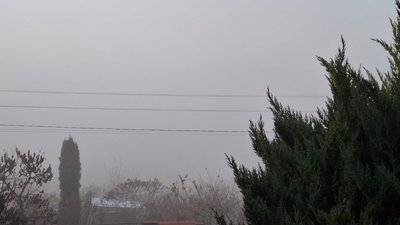 туман